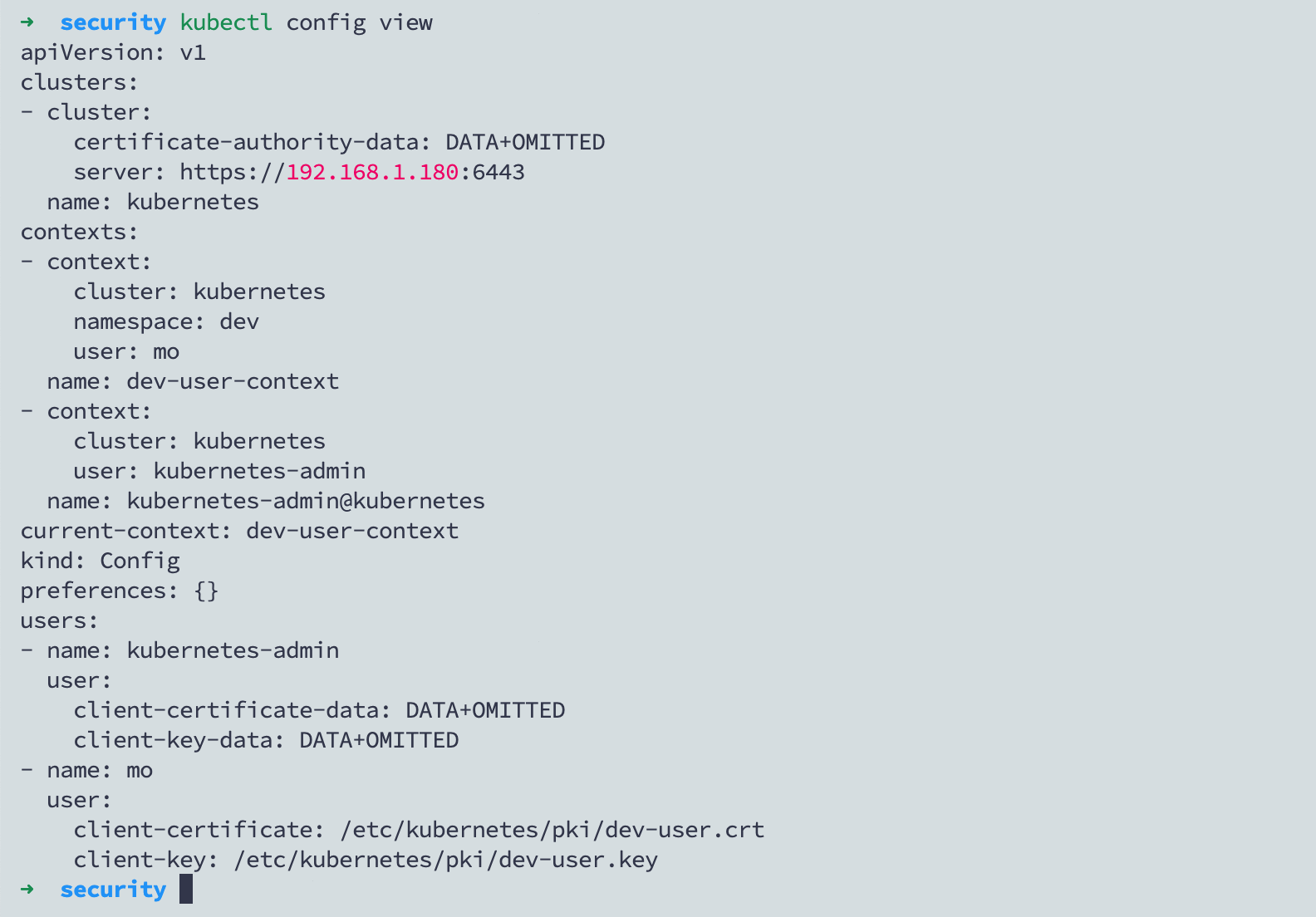 dev-user-context view